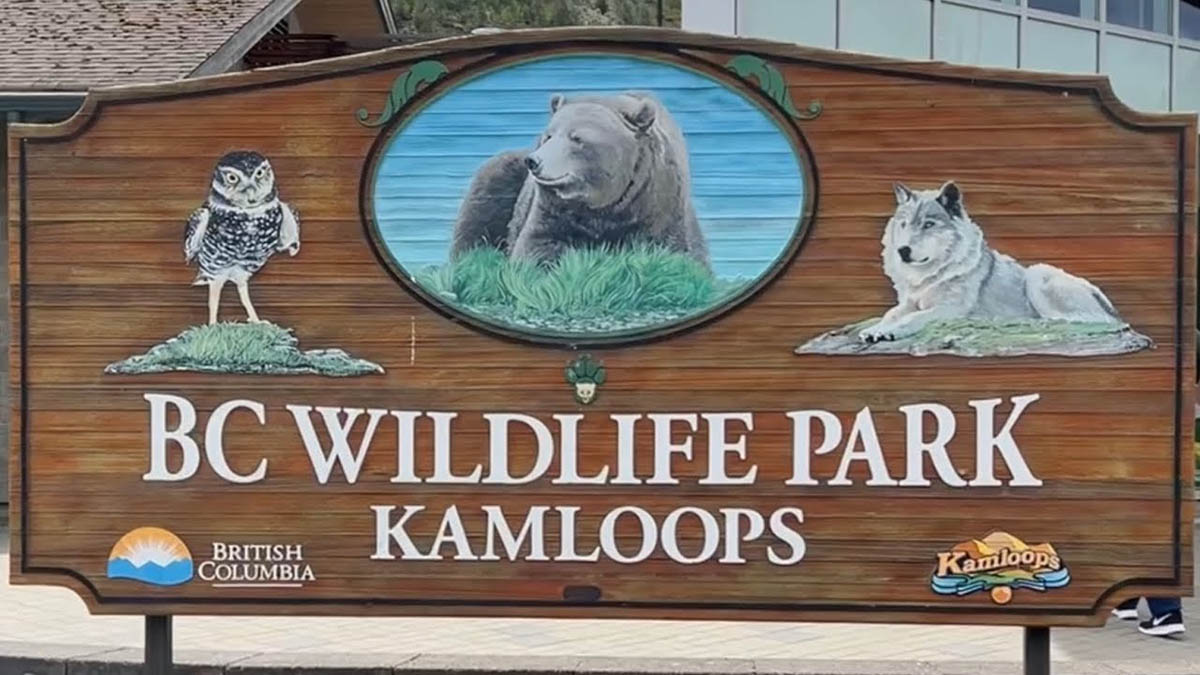 BC Wildlife Park Kamloops